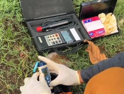 DLH Surabaya Sebut Penurunan Dissolved Oxygen di Sungai Jadi Penyebab Ikan Bermunculan di Banyu Urip dan Kalimas