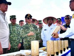 TNI AL Panen Komoditas Kedelai Varietas Unggulan Di Lampung, Komitmen Perkuat Ketahanan Pangan Nasional