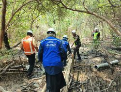 TPS Perkuat Komitmen ESG melalui Pelestarian Ekosistem Mangrove Sejak 2010