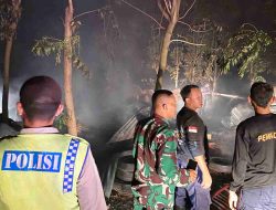 Kebakaran di Kandang Ayam Warga, Damkar dan Polsek Ngimbang Sigap Padamkan Api