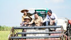 Lamongan Pertahankan Tahta Lumbung Pangan Jawa Timur Tahun 2025