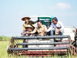 Lamongan Pertahankan Tahta Lumbung Pangan Jawa Timur Tahun 2025
