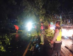 Hujan Angin Lumpuhkan Jalur Surabaya-Babat, Polsek Sukodadi Evakuasi Pohon Tumbang