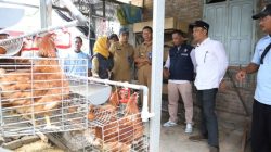 Bupati Bojonegoro Buka Pelatihan GAYATRI, Dorong Kemandirian Ekonomi Masyarakat Lewat Beternak Ayam Petelur