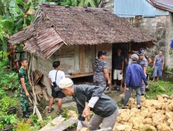Lanal Nias Bekerja Sama Dengan Barisan Merah Putih Dan Ikmanira Melaksanakan Kegiatan Bakti Sosial Bedah Rumah Tidak Layak Huni